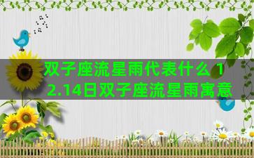 双子座流星雨代表什么 12.14日双子座流星雨寓意